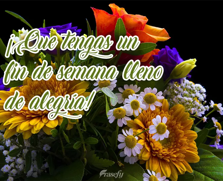 ¡Que tengas un fin de semana lleno de alegría!