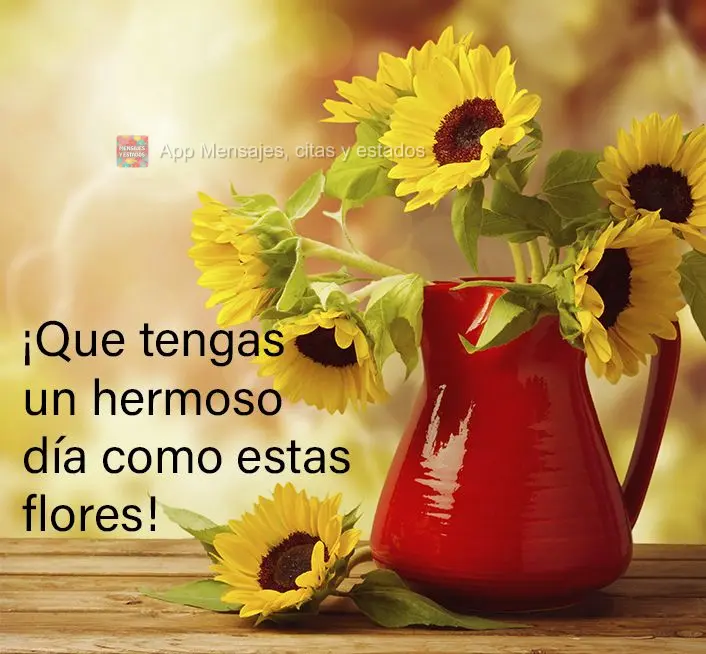 ¡Que tengas un hermoso día como estas flores!