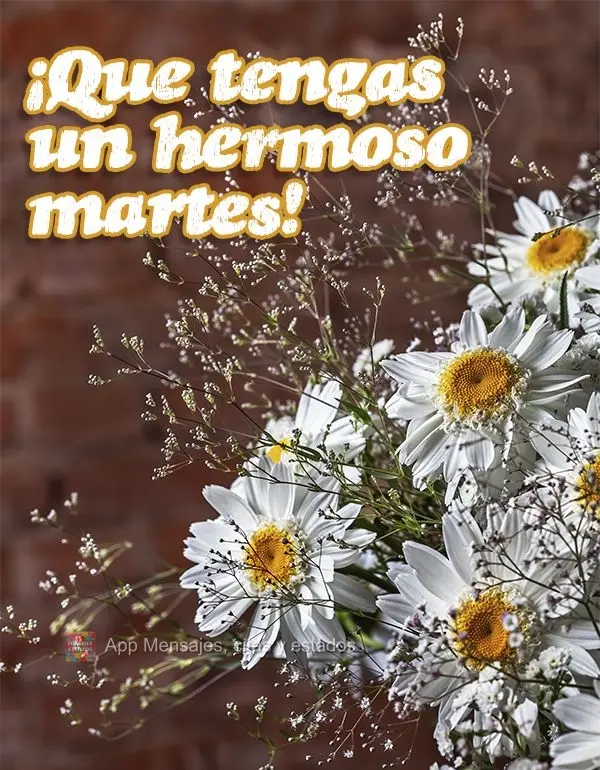 ¡Que tengas un hermoso martes!