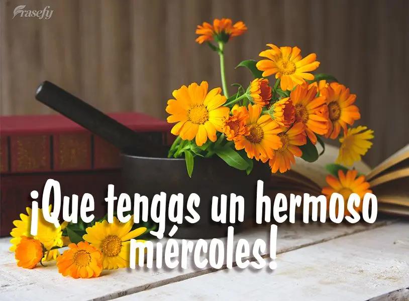 ¡Que tengas un hermoso miércoles!