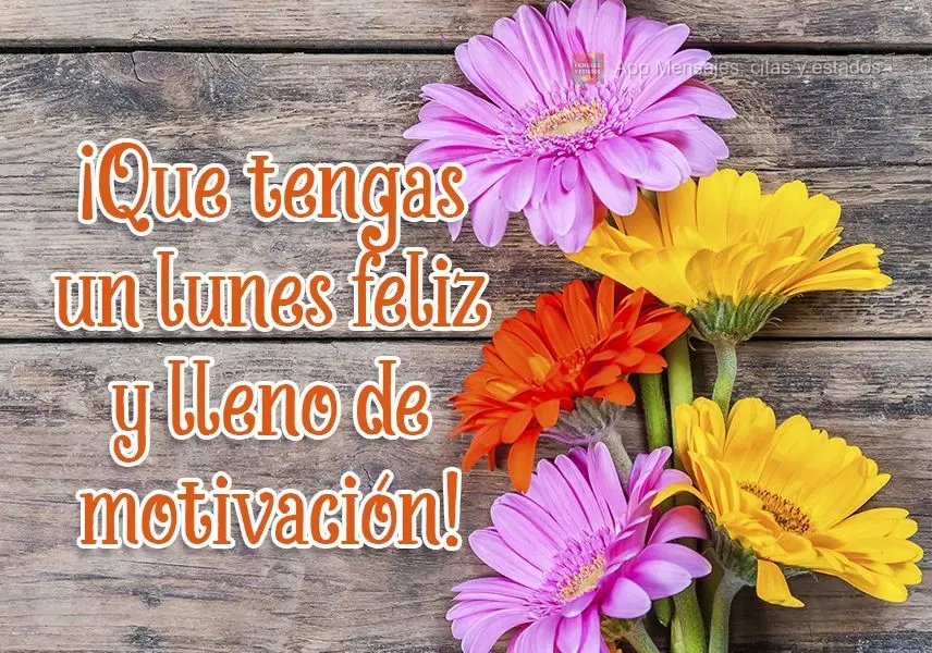 ¡Que tengas un lunes feliz y lleno de motivación!