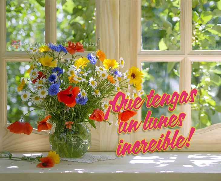 ¡Que tengas un lunes increíble!