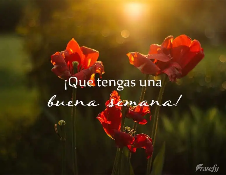 ¡Que tengas una buena semana!