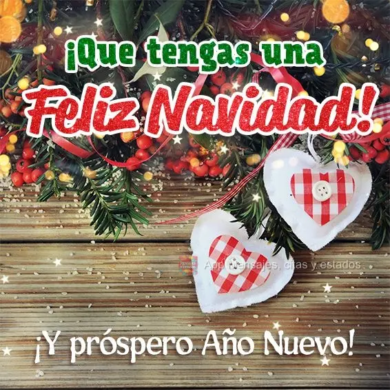 ¡Que tengas una Feliz Navidad! ¡Y próspero Año Nuevo!