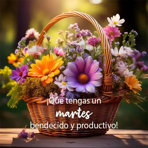 ¡Que tengas una martes feliz, bendecido y productivo!