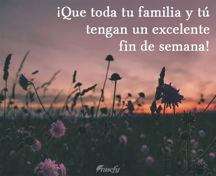 ¡Que toda tu familia y tú tengan un excelente fin de semana!