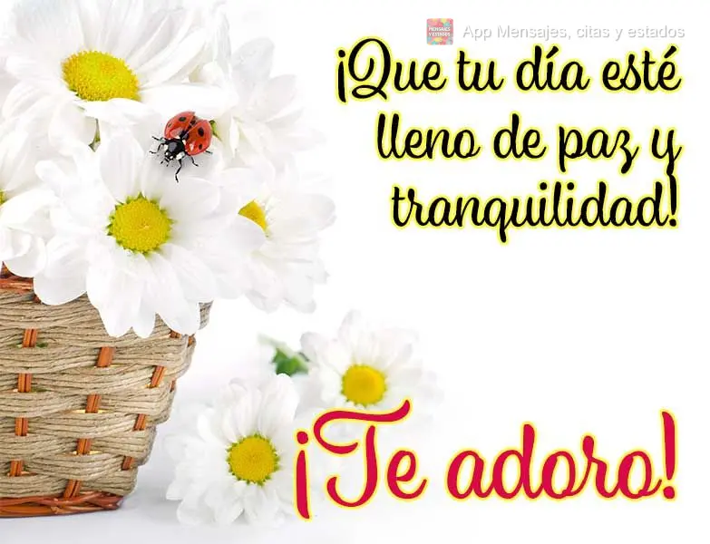 ¡Que tu día esté lleno de paz y tranquilidad! ¡Te adoro!