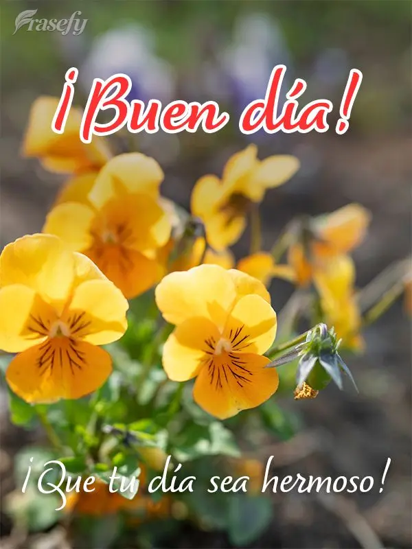 ¡Que tu día sea hermoso! ¡Buen día!