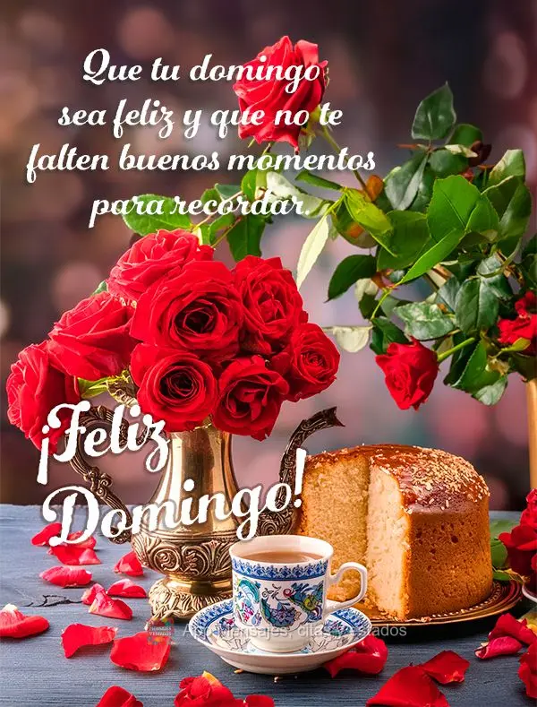 Que tu domingo sea feliz y que no te falten buenos momentos para recordar. ¡Feliz Domingo!