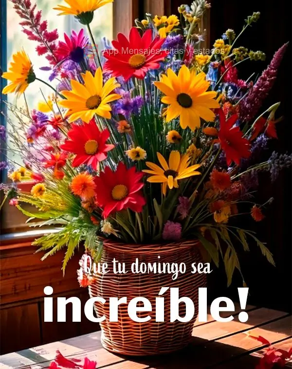 ¡Que tu domingo sea increíble!