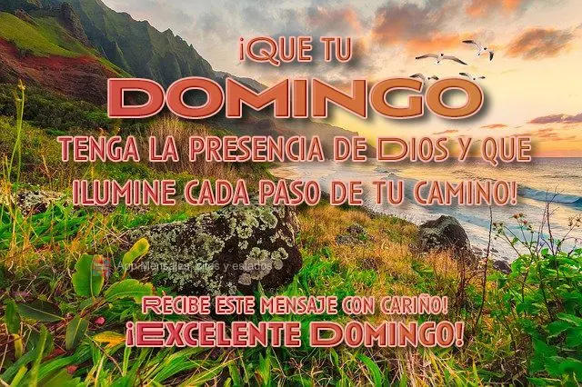 ¡Que tu domingo tenga la presencia de Dios y que ilumine cada paso de tu camino! Recibe este mensaje con cariño! ¡Excelente Domingo!