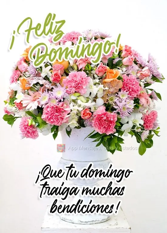 ¡Que tu domingo traiga muchas bendiciones! ¡Feliz domingo!