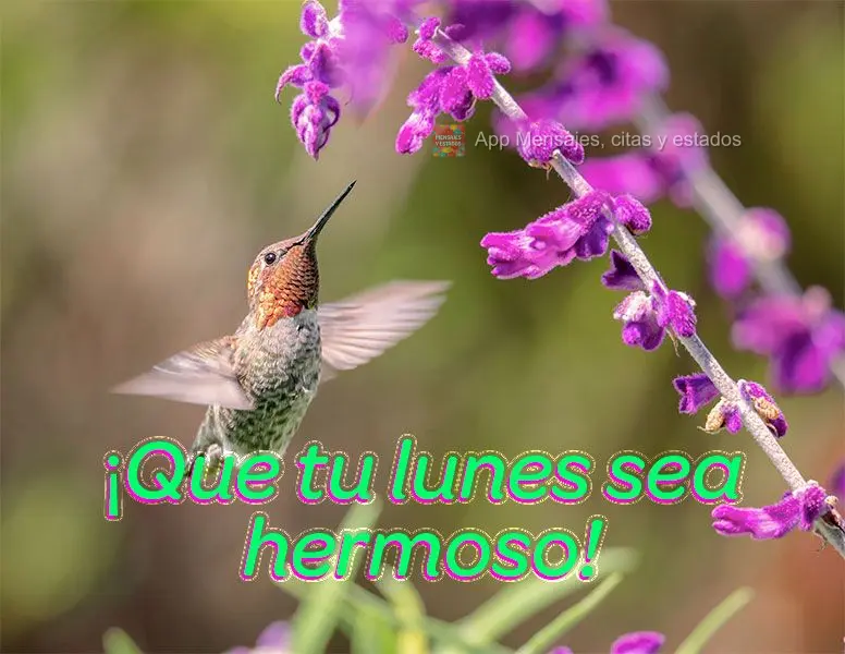 ¡Que tu lunes sea hermoso!