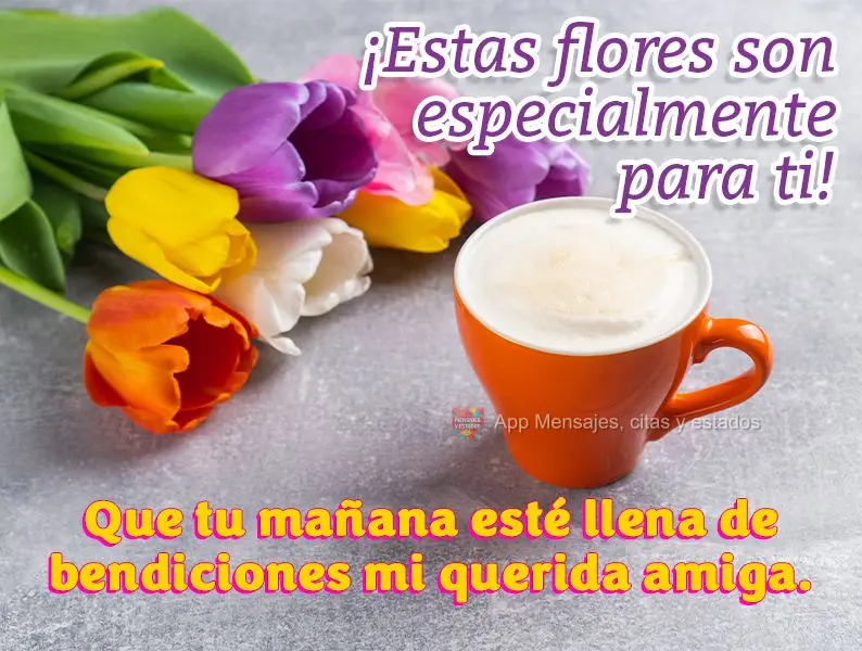 Que tu mañana esté llena de bendiciones mi querida amiga. ¡Estas flores son especialmente para ti!