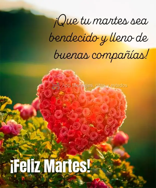 ¡Que tu martes sea bendecido y lleno de buenas compañías! ¡Feliz Martes!