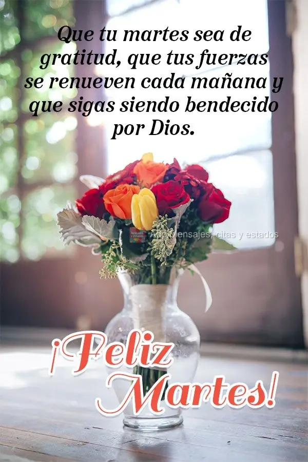Que tu martes sea de gratitud, que tus fuerzas se renueven cada mañana y que sigas siendo bendecido por Dios. ¡Feliz martes!