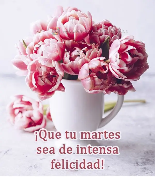 ¡Que tu martes sea de intensa felicidad!