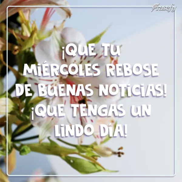 ¡Que tu miércoles rebose de buenas noticias! ¡Que tengas un lindo día!