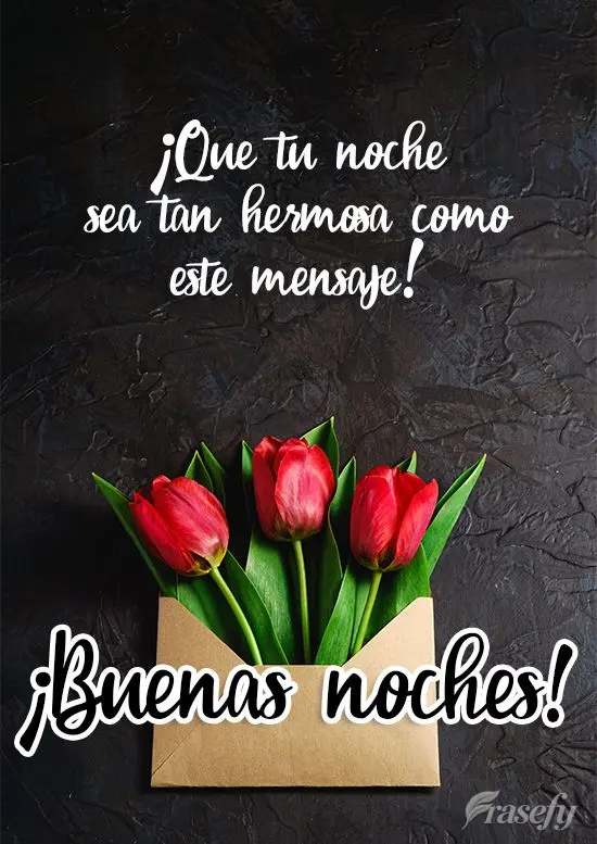¡Que tu noche sea tan hermosa como este mensaje! ¡Buenas noches!