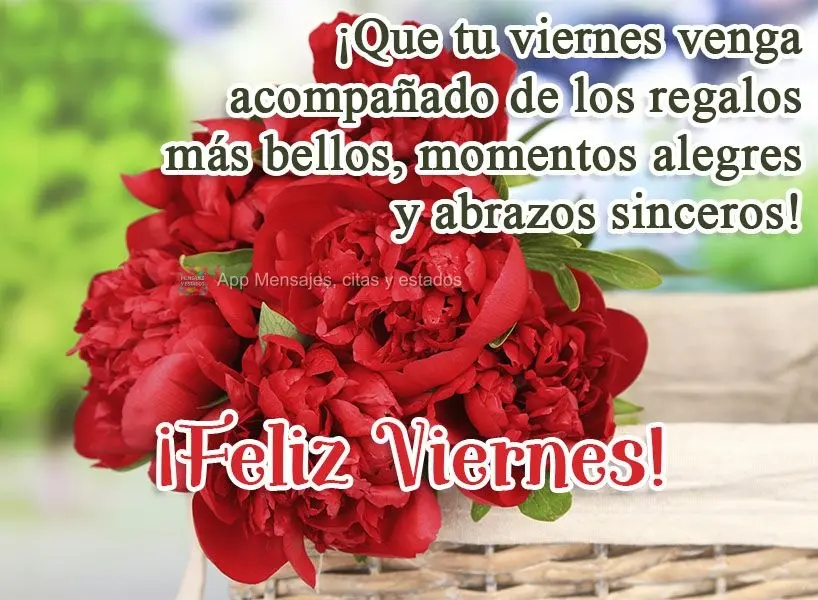 ¡Que tu viernes venga acompañado de los regalos más bellos, momentos alegres y abrazos sinceros! ¡Feliz viernes!