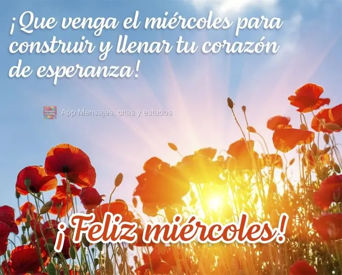 ¡Que venga el miércoles para construir y llenar tu corazón de esperanza! ¡Feliz miércoles!