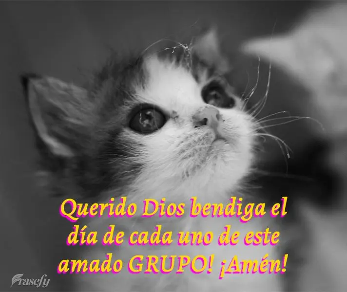Querido Deus, abençoe o dia de cada um deste grupo amado! Amém!