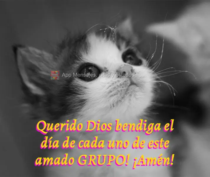 Querido Dios bendiga el día de cada uno de este amado grupo! ¡Amén!