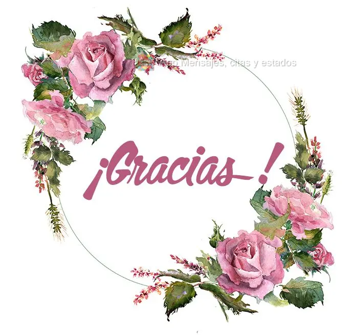 ¡Gracias!