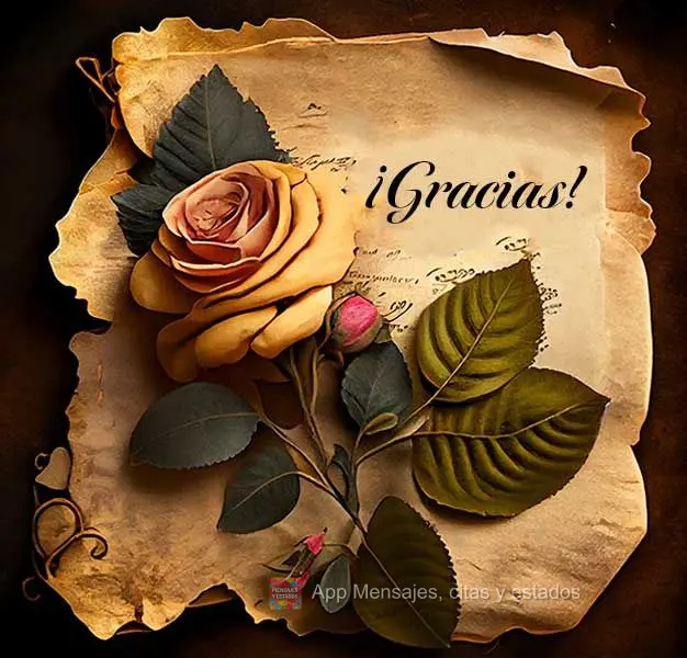 ¡Gracias!