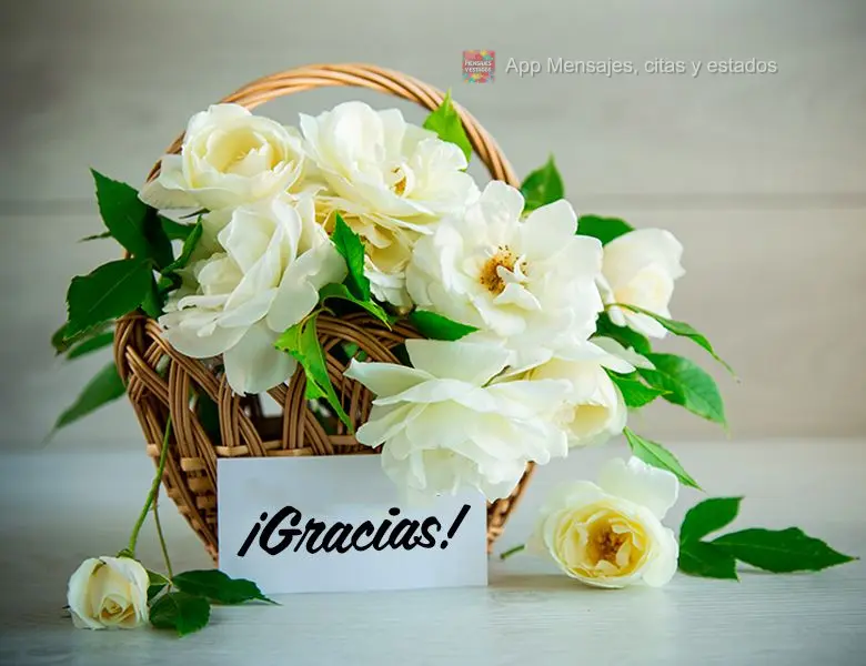 ¡Gracias!