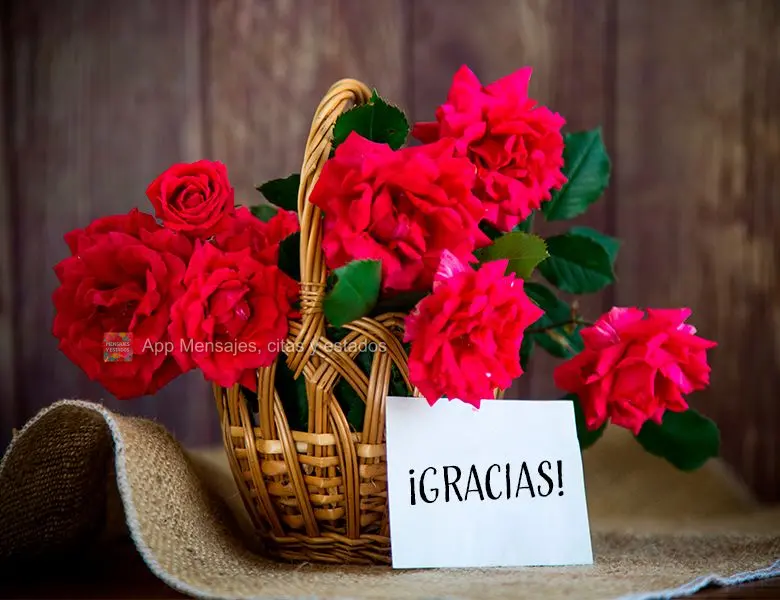 ¡Gracias!