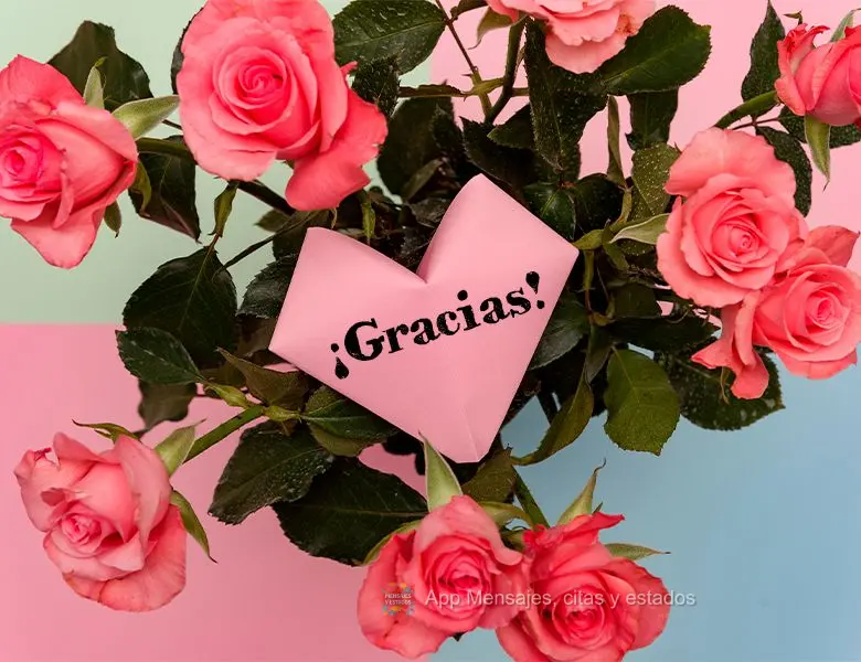 ¡Gracias!