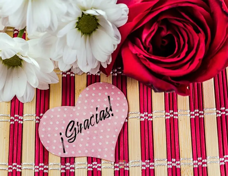 ¡Gracias!