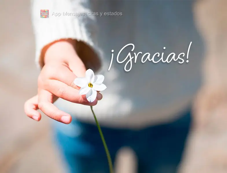 ¡Gracias!