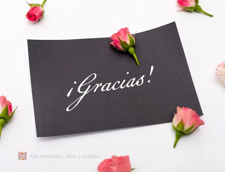 ¡Gracias!