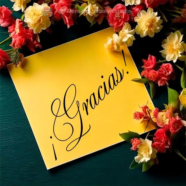 ¡Gracias!