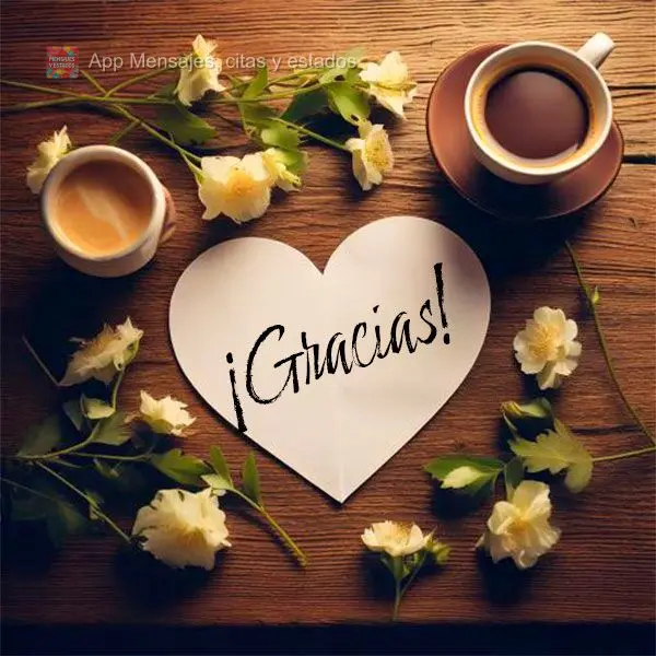 ¡Gracias!