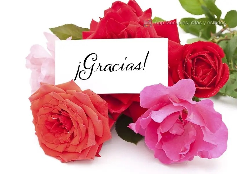 ¡Gracias!