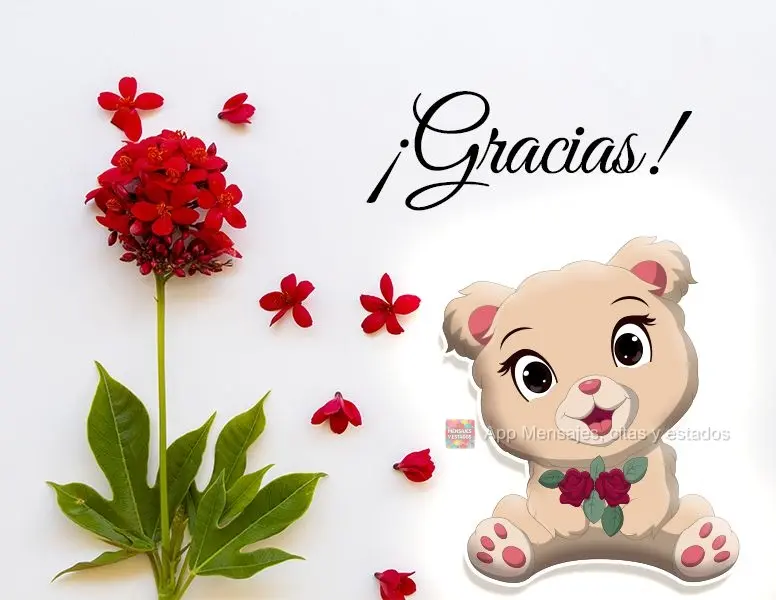 ¡Gracias!