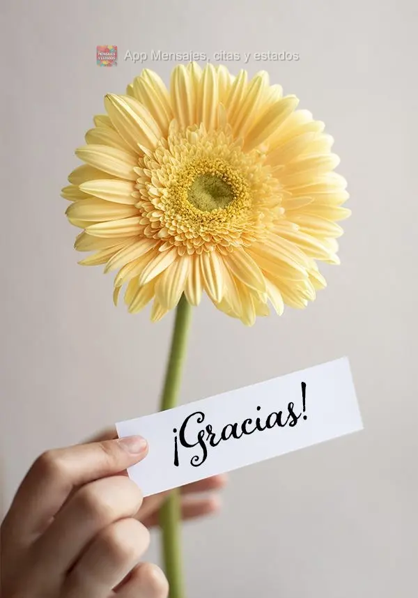 ¡Gracias!