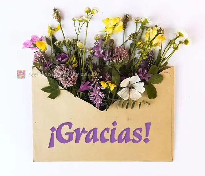 ¡Gracias!