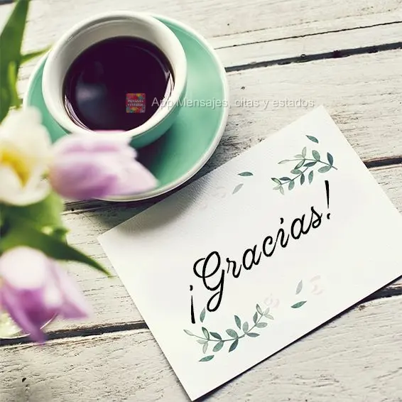 ¡Gracias!
