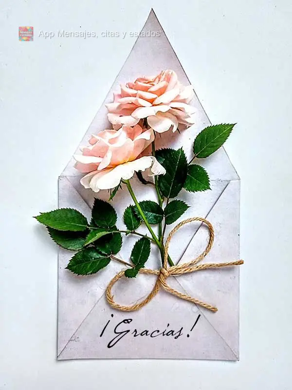 ¡Gracias!