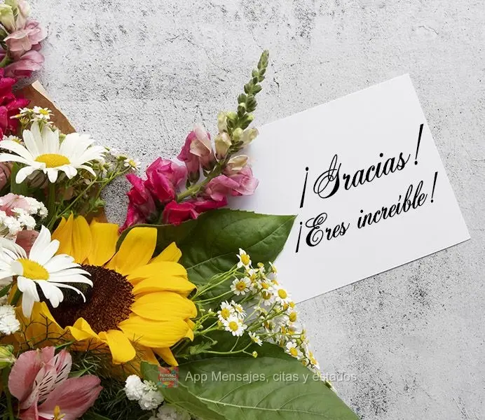 ¡Gracias! ¡Eres increíble!
