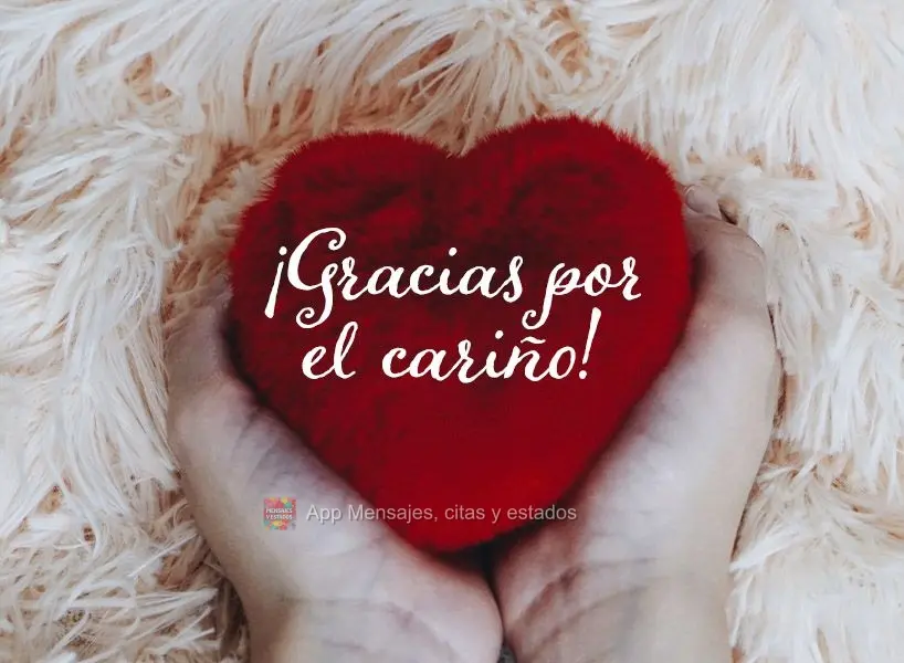¡Gracias por el cariño!