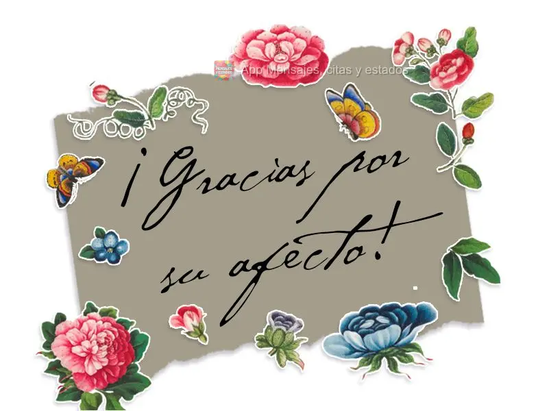 ¡Gracias por su afecto!