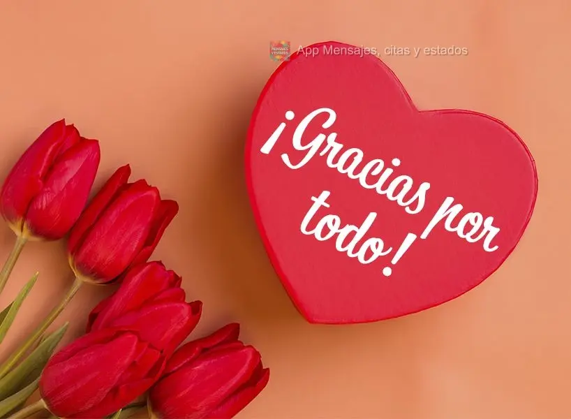 ¡Gracias por todo!