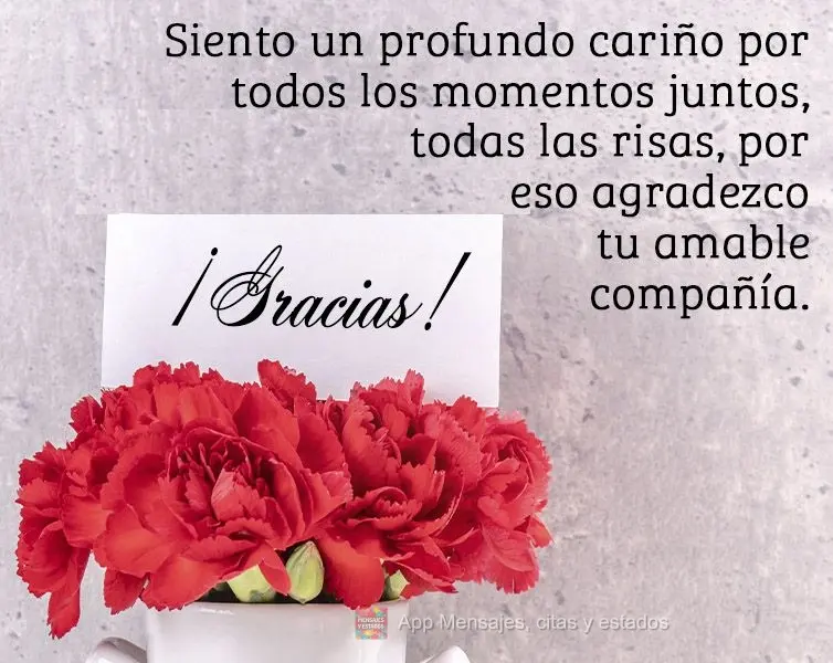 Siento un profundo cariño por todos los momentos juntos, todas las risas, por eso agradezco tu amable compañía. ¡Gracias!