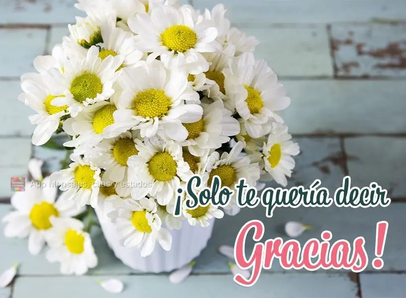 ¡Solo te quería decir gracias!