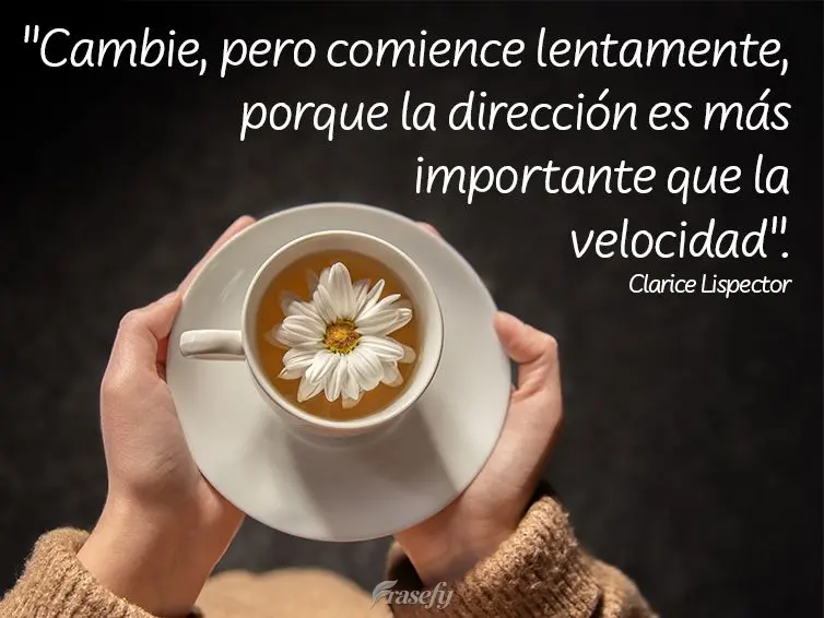 “Mude, mas comece devagar, porque a direção é mais importante que a velocidade.” Clarice Lispector